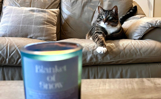 Candles safe for pets, wellness aromatherapy candles with natural ingredients