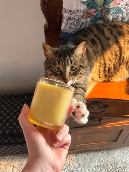 Are Essential Oils Safe for Pets? (What You Need to Know)