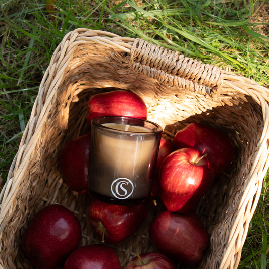 A Forbidden Orchard Beeswax Candle