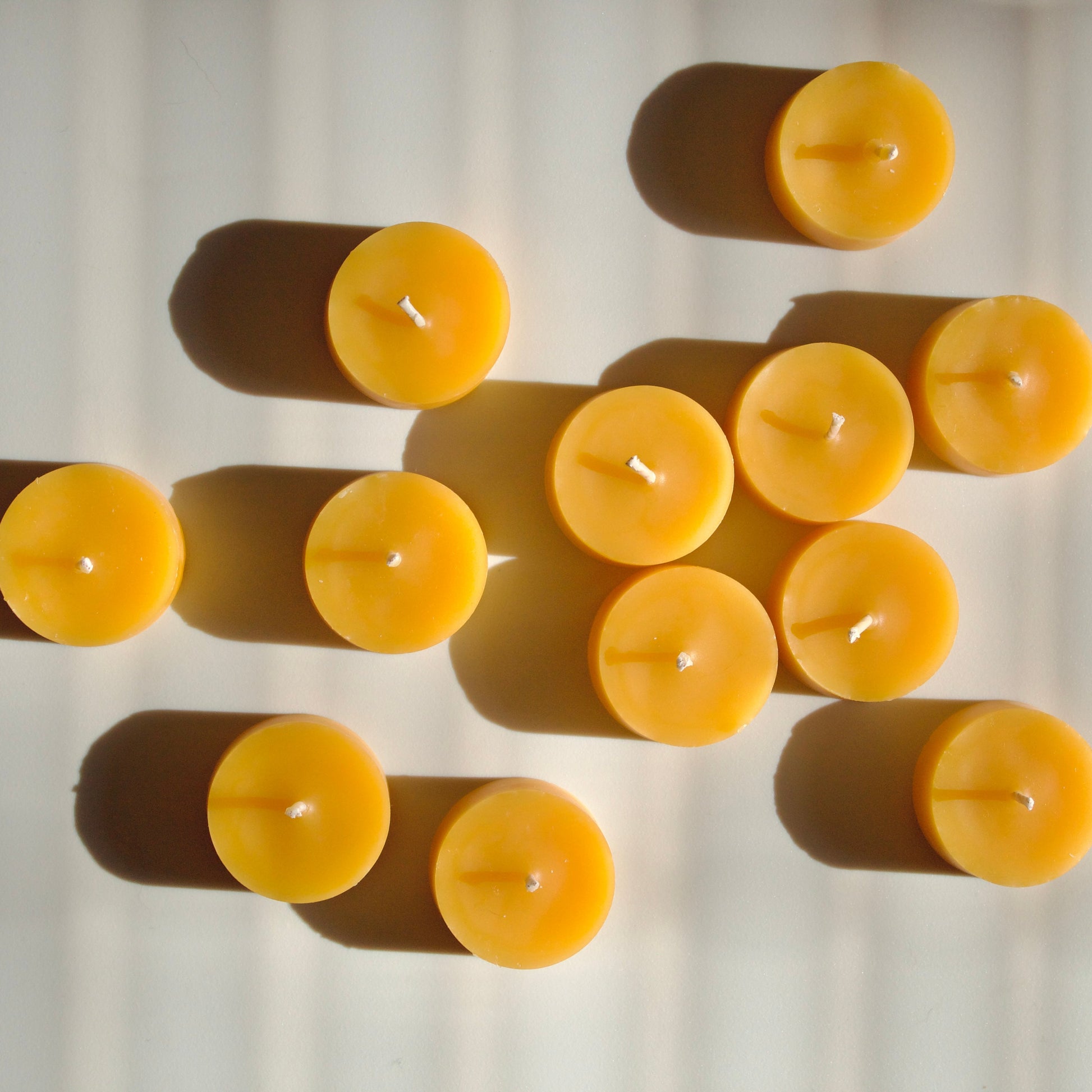 Pure beeswax tea light candles on a white background